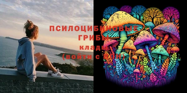 первитин Бронницы