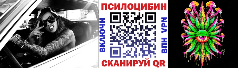 Купить закладки  Костомукша  Псилоцибиновые грибы Psilocybe 